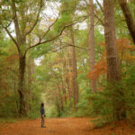 Abbey Nature Preserve