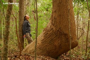 Abbey Nature Preserve