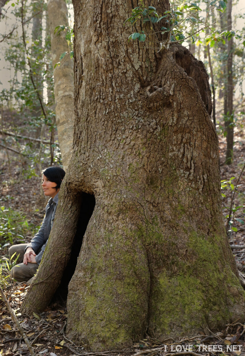 Brunswick Nature Park