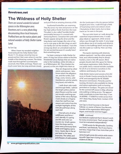 Holly Shelter