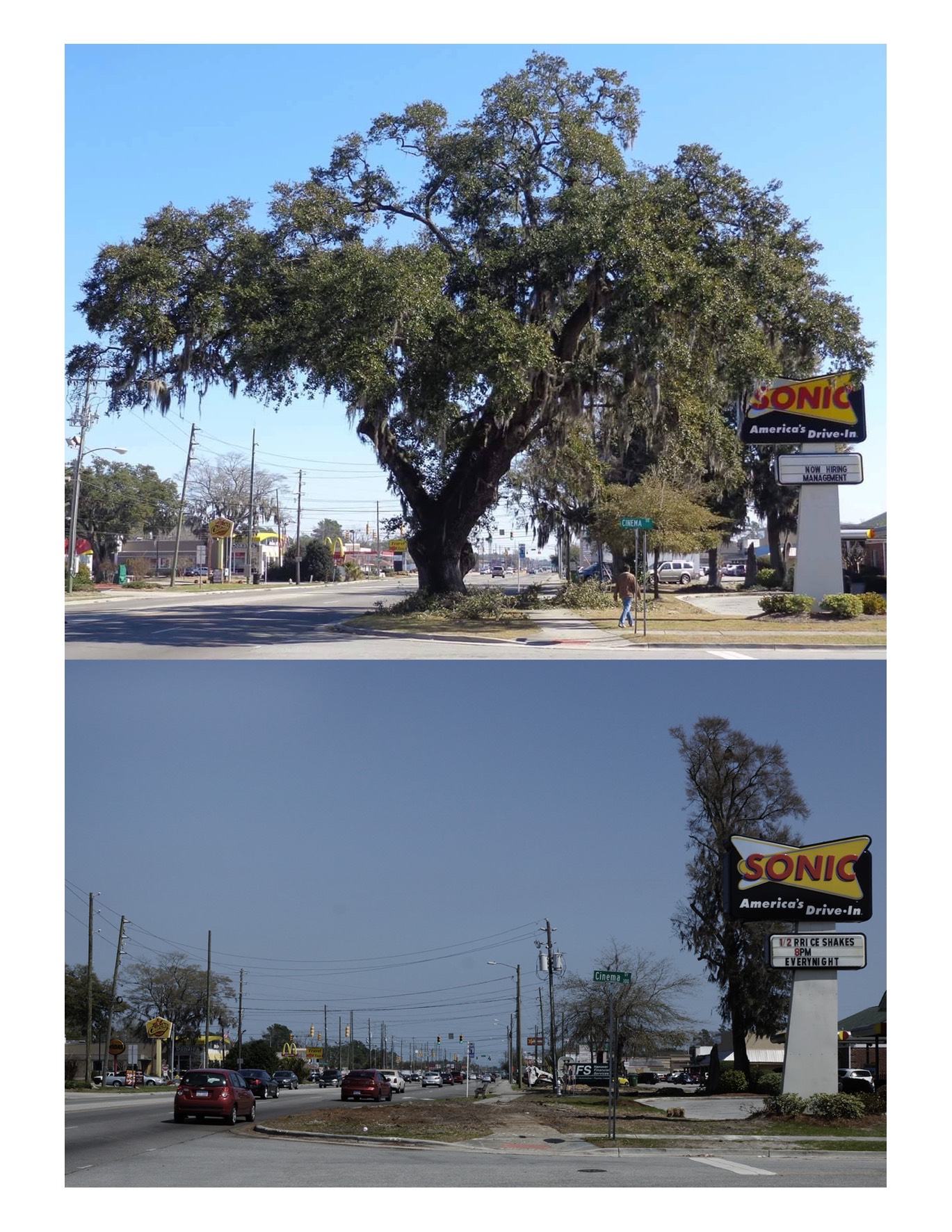 Sonic Oak Before and After