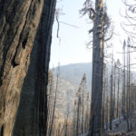 Alder Creek Castle Fire Sequoia Crest