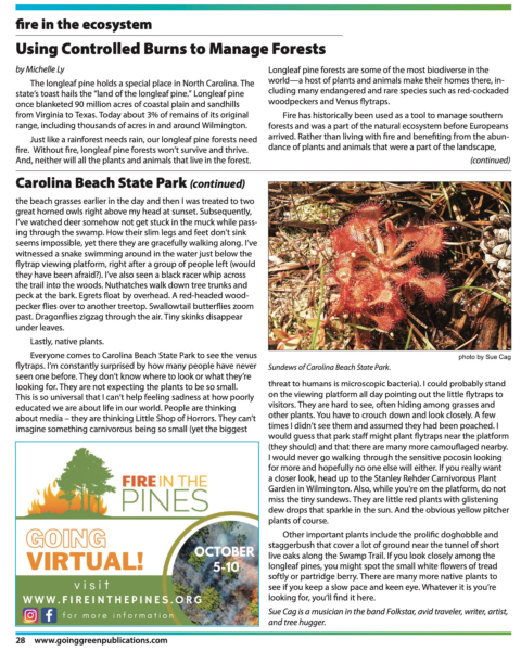Carolina Beach page 2