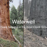 Waterwell Video Screen Capture