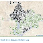 Alder Creek Grove Sequoia Mortality Map