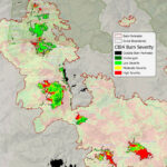 Castle Fire Severity Map