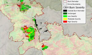 Castle Fire Severity Map