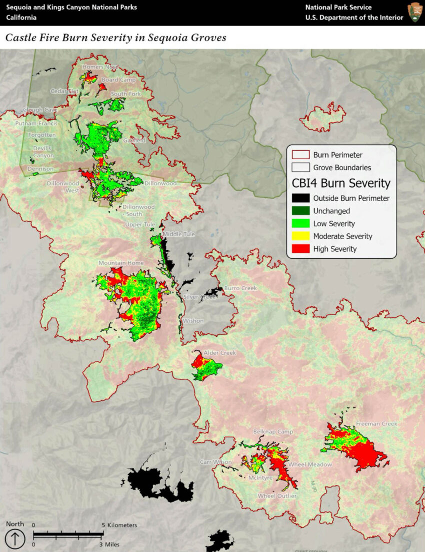 Castle Fire Severity Map