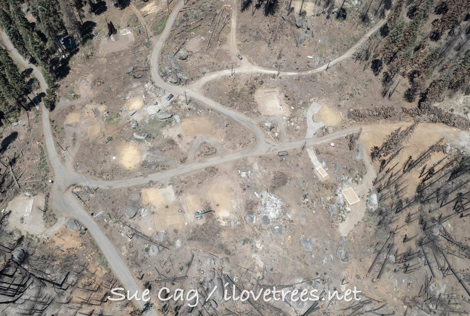 Sequoia Crest after the Castle Fire