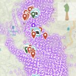 Windy Fire and KNP Complex Burning 22 Sequoia Groves and Counting