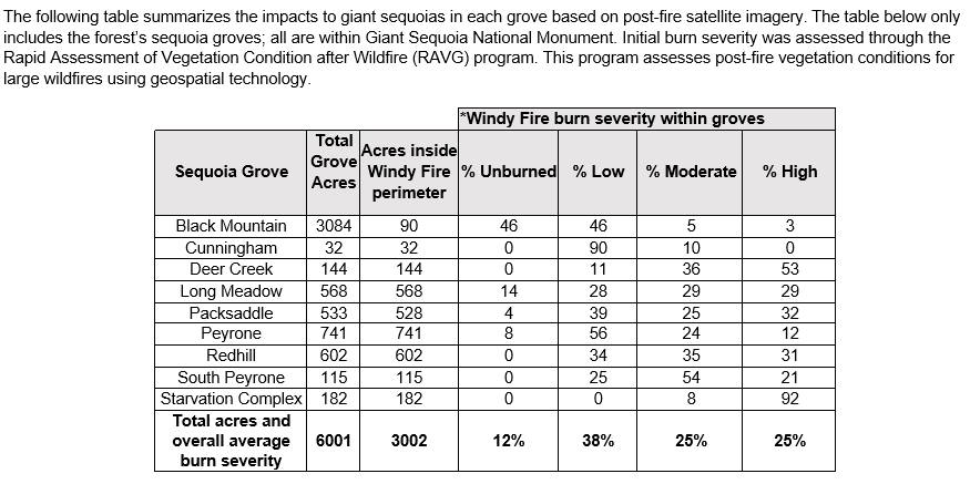 Windy Fire Burn Severity Sequoia Mortality