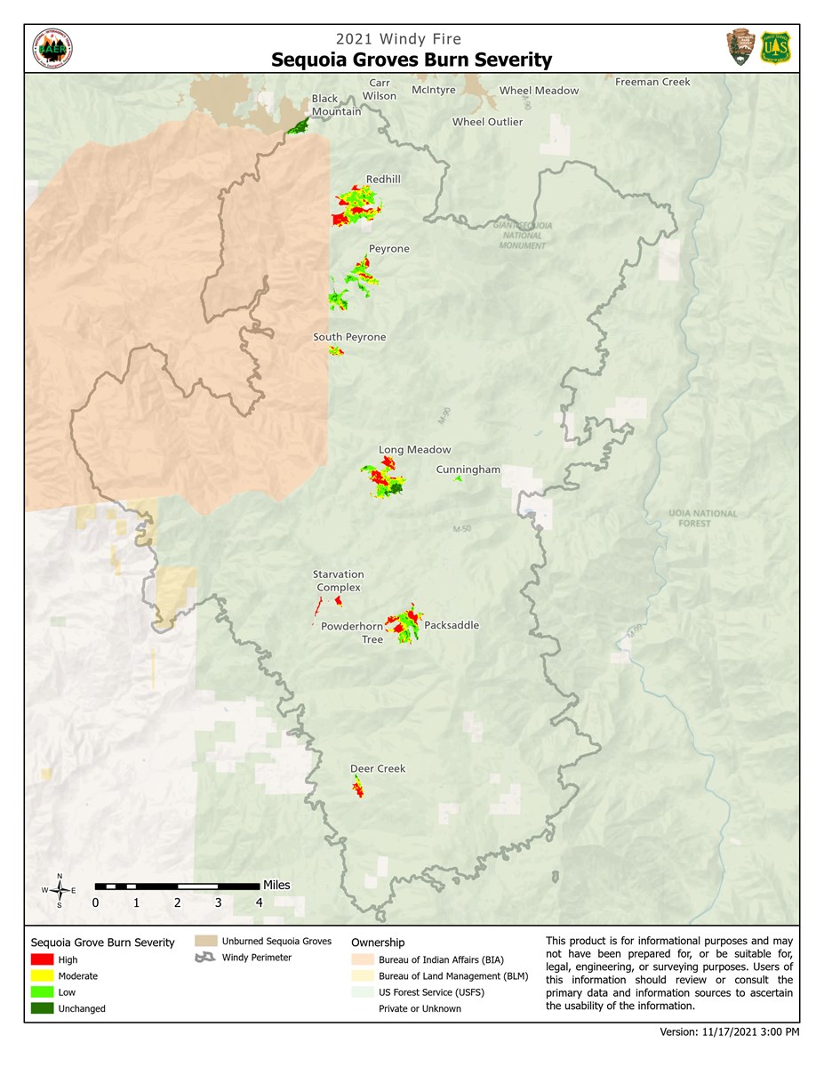 Windy Fire Severity Map