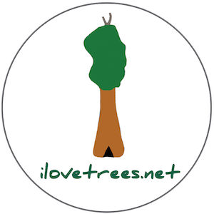 i love trees logo_300