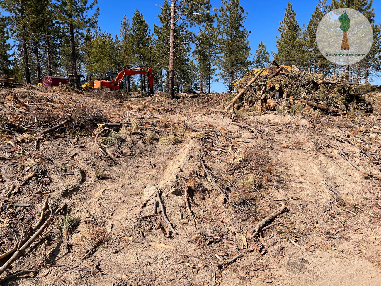 Converse Basin Logging